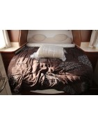 Camping-Car Intégral d'occasion Autostar I690 LC Lift Passion.